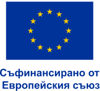 EU Logo
